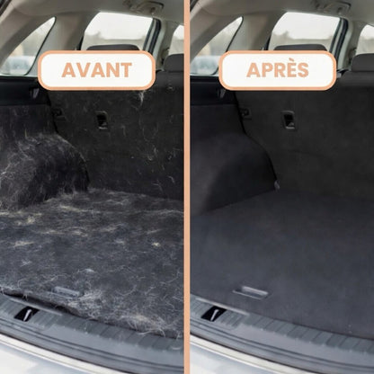 Brosse Anti-Poils Petology